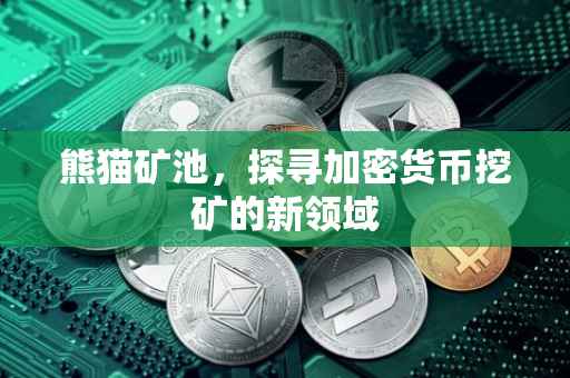 熊猫矿池，探寻加密货币挖矿的新领域