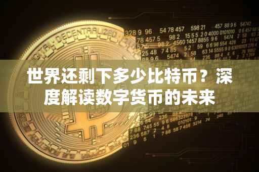 世界还剩下多少比特币？深度解读数字货币的未来