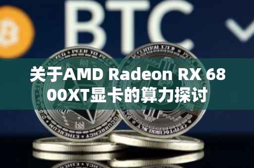 关于AMD Radeon RX 6800XT显卡的算力探讨