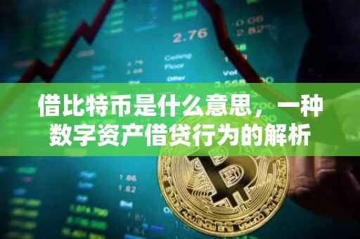 借比特币是什么意思，一种数字资产借贷行为的解析