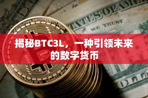揭秘BTC3L，一种引领未来的数字货币