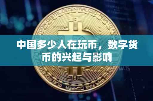 中国多少人在玩币，数字货币的兴起与影响