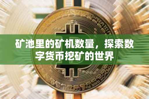 矿池里的矿机数量，探索数字货币挖矿的世界