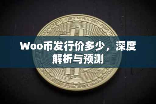 Woo币发行价多少，深度解析与预测