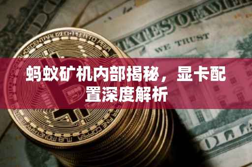 蚂蚁矿机内部揭秘，显卡配置深度解析
