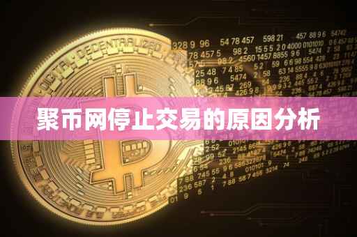 聚币网停止交易的原因分析