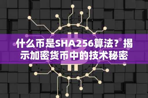 什么币是SHA256算法？揭示加密货币中的技术秘密