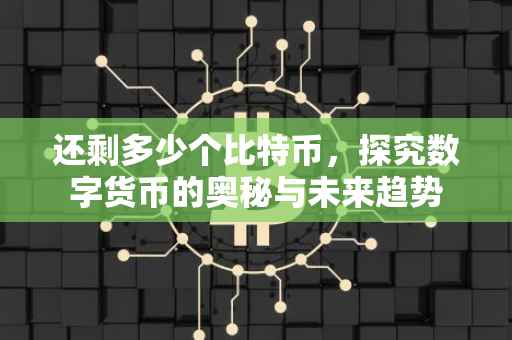 还剩多少个比特币，探究数字货币的奥秘与未来趋势