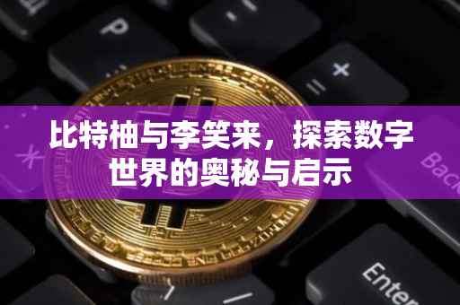 比特柚与李笑来，探索数字世界的奥秘与启示