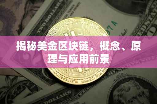 揭秘美金区块链，概念、原理与应用前景