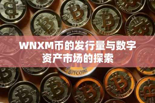 WNXM币的发行量与数字资产市场的探索