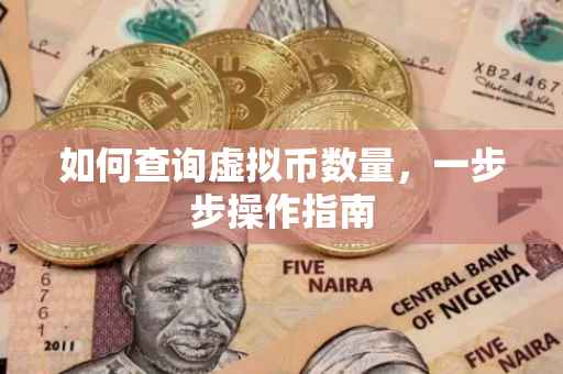 如何查询虚拟币数量，一步步操作指南