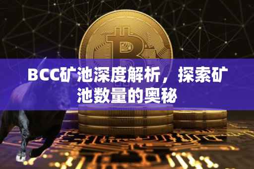 BCC矿池深度解析，探索矿池数量的奥秘
