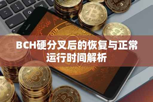 BCH硬分叉后的恢复与正常运行时间解析
