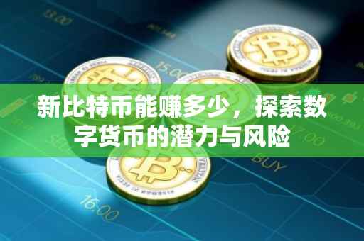 新比特币能赚多少，探索数字货币的潜力与风险