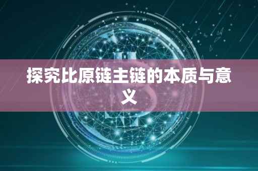 探究比原链主链的本质与意义