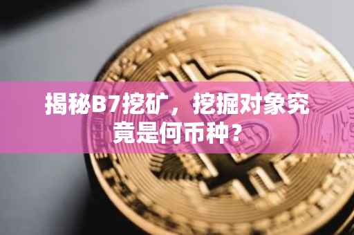 揭秘B7挖矿，挖掘对象究竟是何币种？