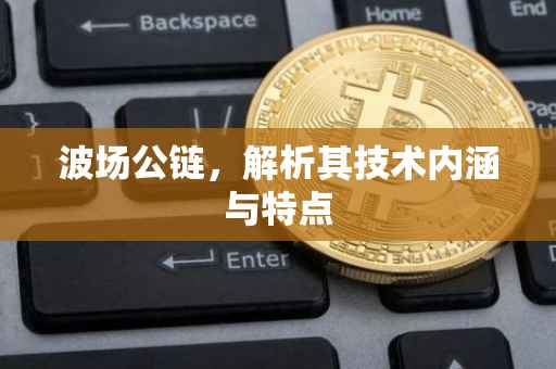 波场公链，解析其技术内涵与特点