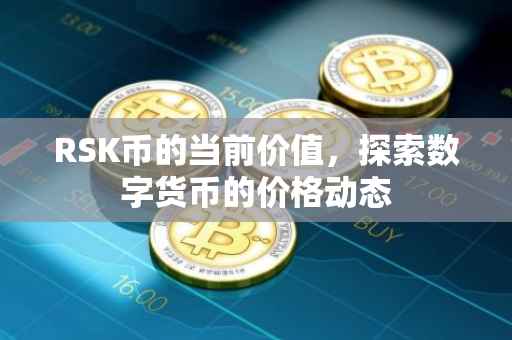 RSK币的当前价值，探索数字货币的价格动态