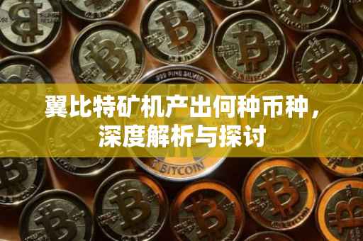 翼比特矿机产出何种币种，深度解析与探讨