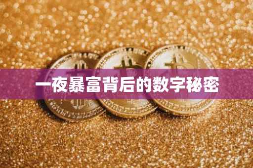 一夜暴富背后的数字秘密