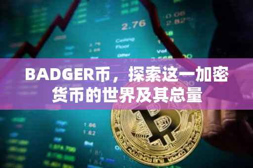 BADGER币，探索这一加密货币的世界及其总量