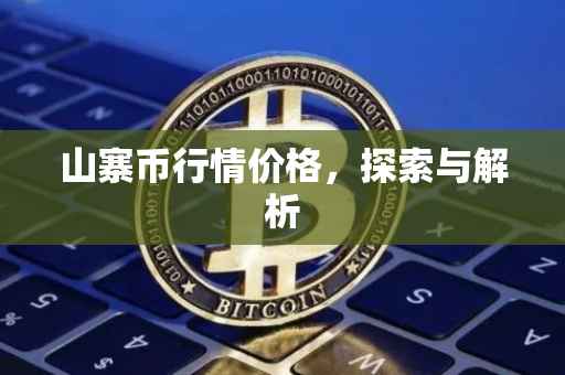 山寨币行情价格，探索与解析