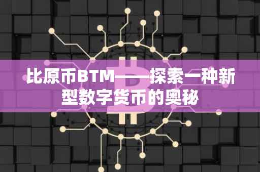 比原币BTM——探索一种新型数字货币的奥秘