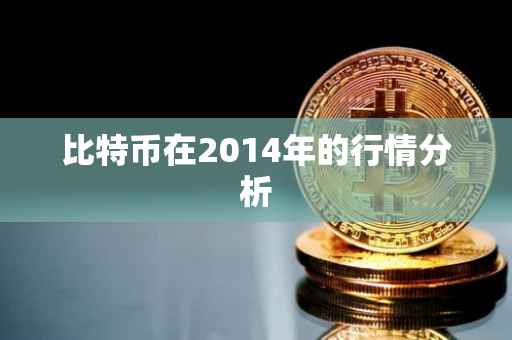 比特币在2014年的行情分析