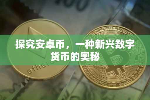 探究安卓币，一种新兴数字货币的奥秘