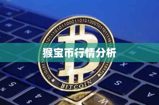 猴宝币行情分析