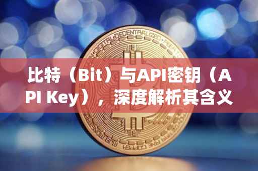 比特（Bit）与API密钥（API Key），深度解析其含义与重要性