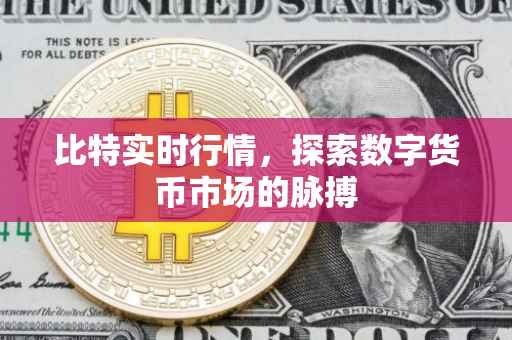 比特实时行情，探索数字货币市场的脉搏