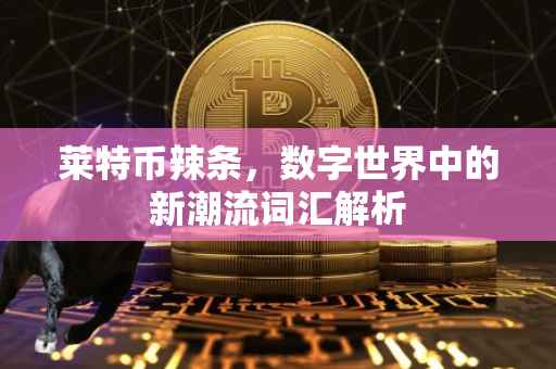 莱特币辣条，数字世界中的新潮流词汇解析