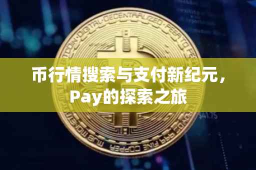 币行情搜索与支付新纪元，Pay的探索之旅