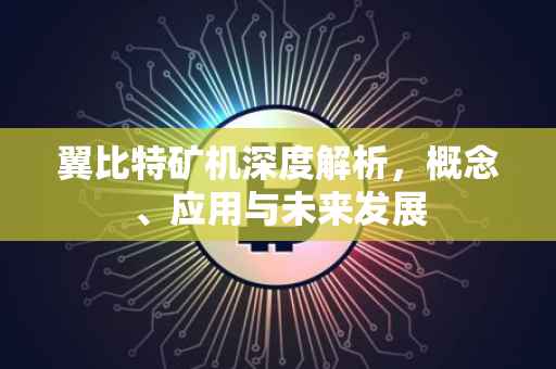 翼比特矿机深度解析，概念、应用与未来发展