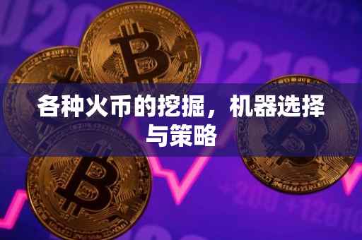 各种火币的挖掘，机器选择与策略