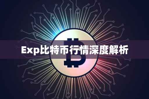 Exp比特币行情深度解析