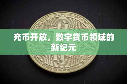 充币开放，数字货币领域的新纪元
