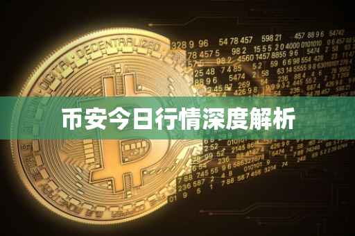 币安今日行情深度解析