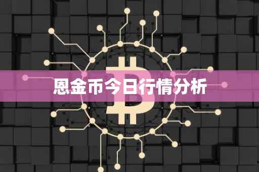 恩金币今日行情分析