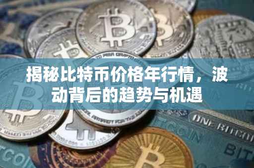 揭秘比特币价格年行情，波动背后的趋势与机遇