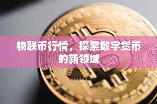 物联币行情，探索数字货币的新领域