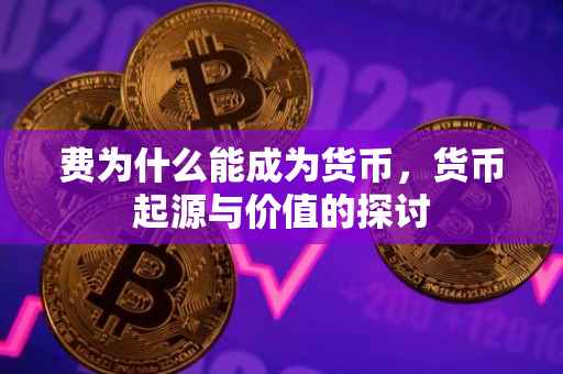 费为什么能成为货币，货币起源与价值的探讨