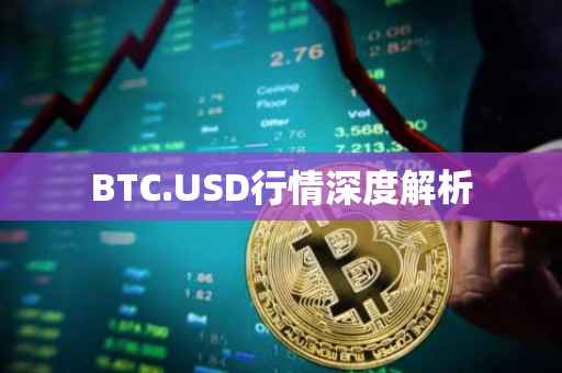 BTC.USD行情深度解析