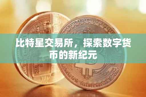比特星交易所,探索数字货币的新纪元