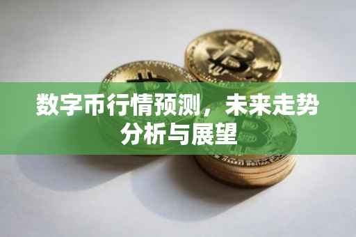 数字币行情预测，未来走势分析与展望
