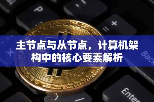 主节点与从节点，计算机架构中的核心要素解析