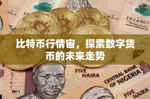 比特币行情宙，探索数字货币的未来走势