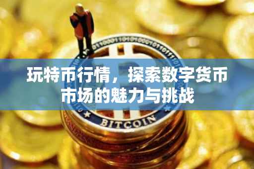 玩特币行情,探索数字货币市场的魅力与挑战